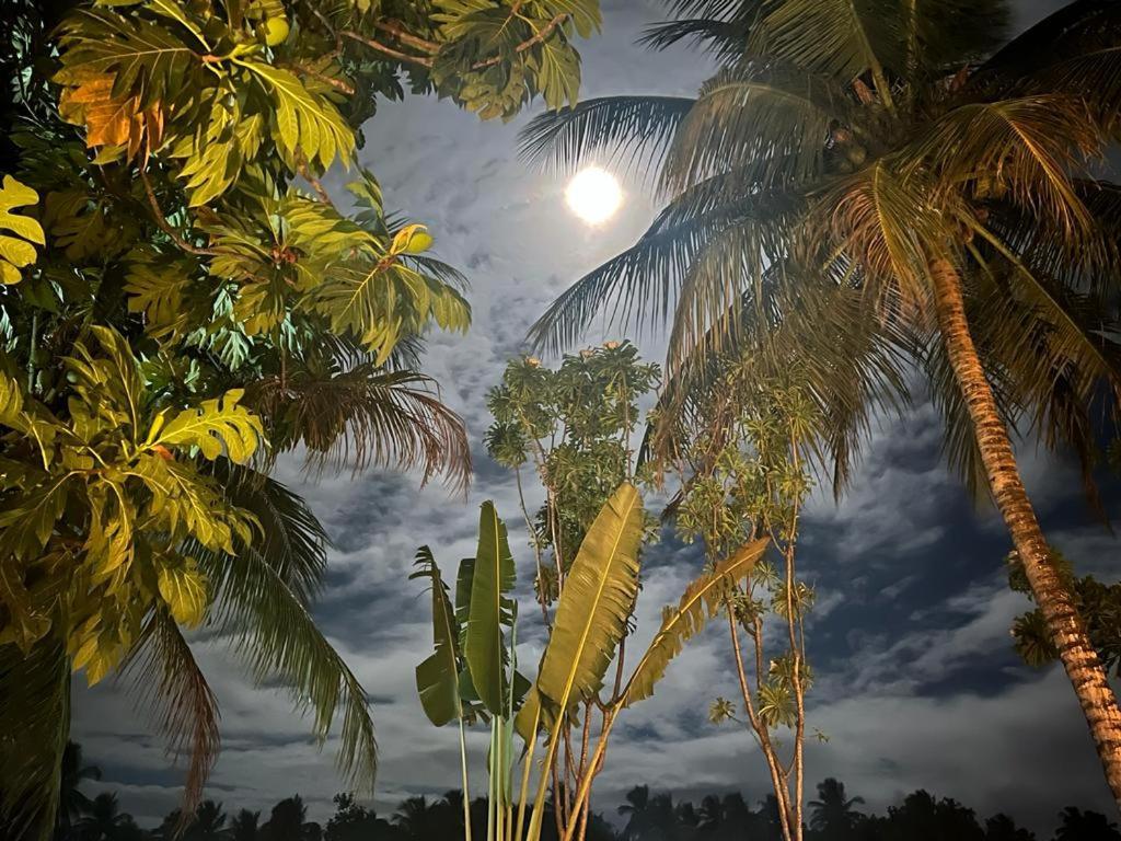 Pousada Vida Sol São Miguel dos Milagres 外观 照片