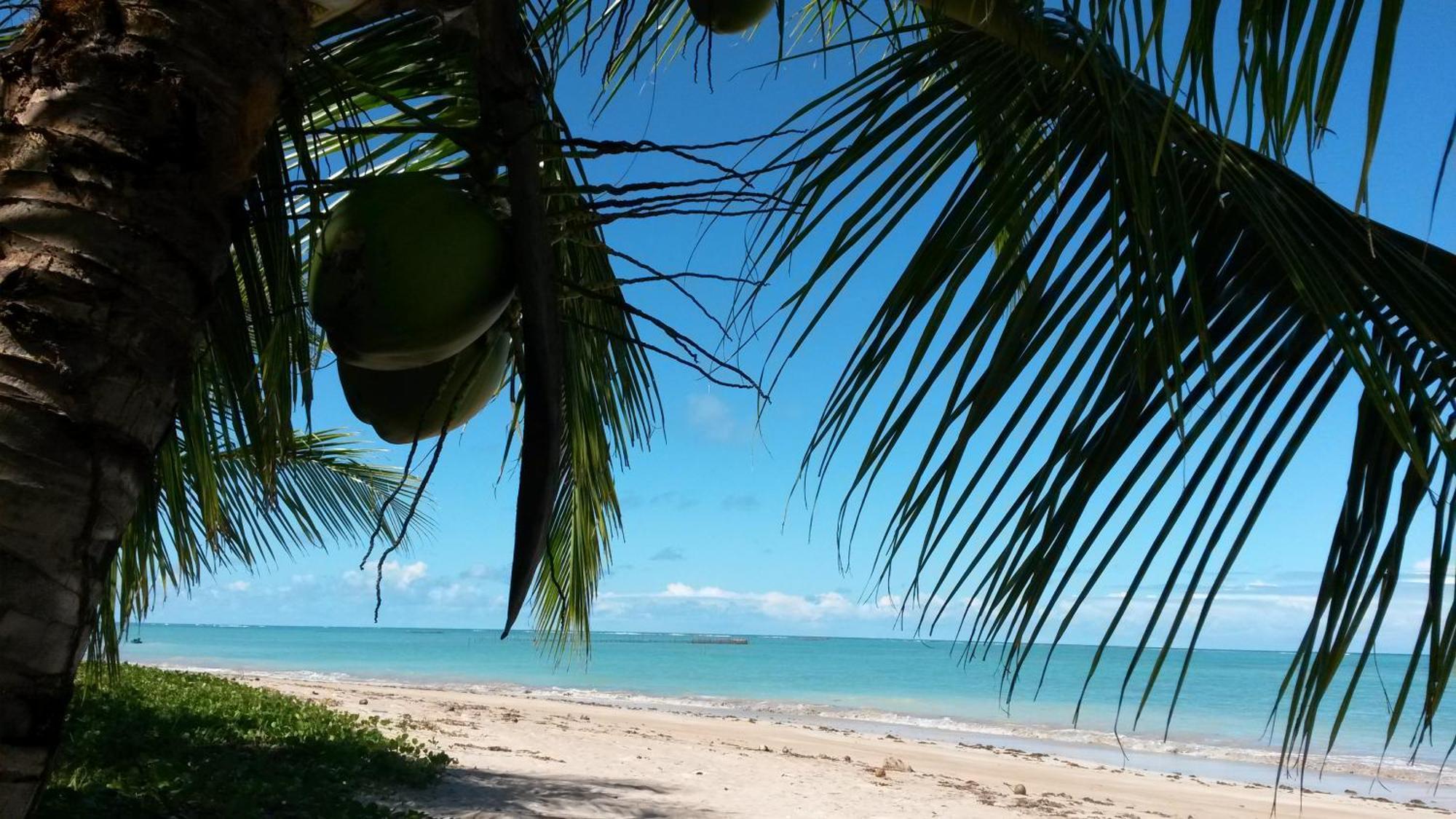 Pousada Vida Sol São Miguel dos Milagres 外观 照片